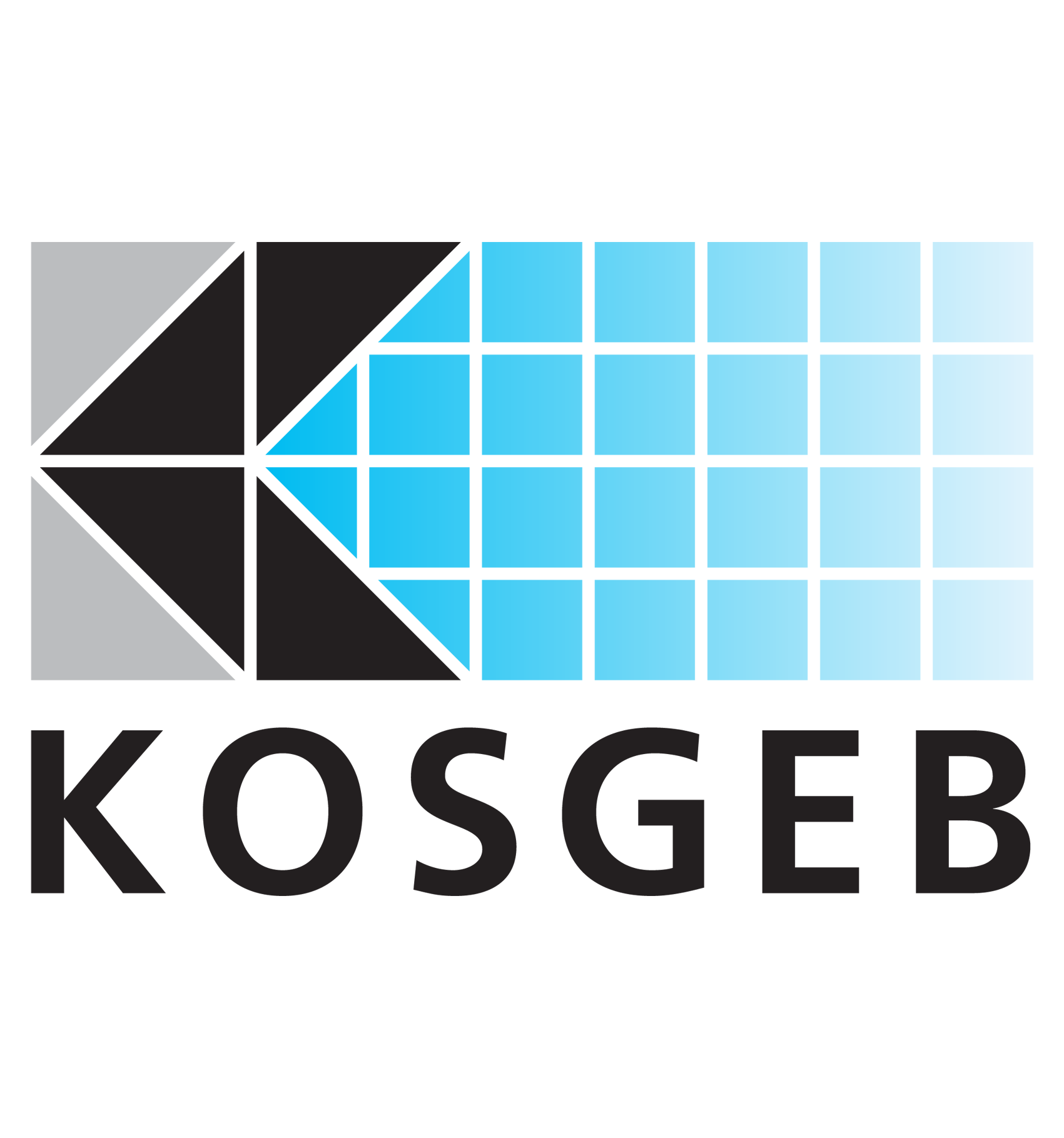 KOSGEB